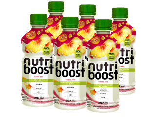 Lốc 6 chai sữa trái cây có đào miếng Nutriboost Bits 297ml