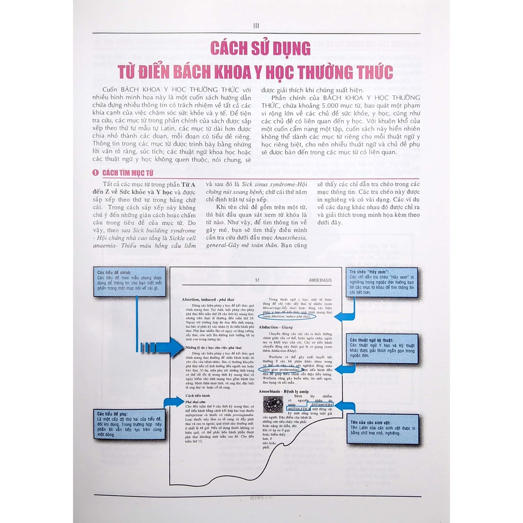 Sách - Từ Điển Bách Khoa Y Học Anh - Việt