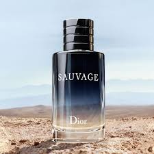 Nước Hoa Nam, Nước Hoa Nam Dior Sauvage EDT 100ml Thơm Lâu, Hương Thơm Nam Tính, Sang Trọng, Lịch Lãm | BigBuy360 - bigbuy360.vn