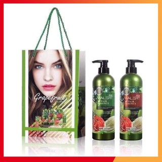 Dầu gội đầu dầu + xả , cặp hương bưởi grapefruit