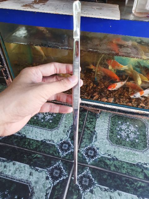 NHÍP MŨI NHỌN GẮP CÂY THỦY SINH DÀI 23CM