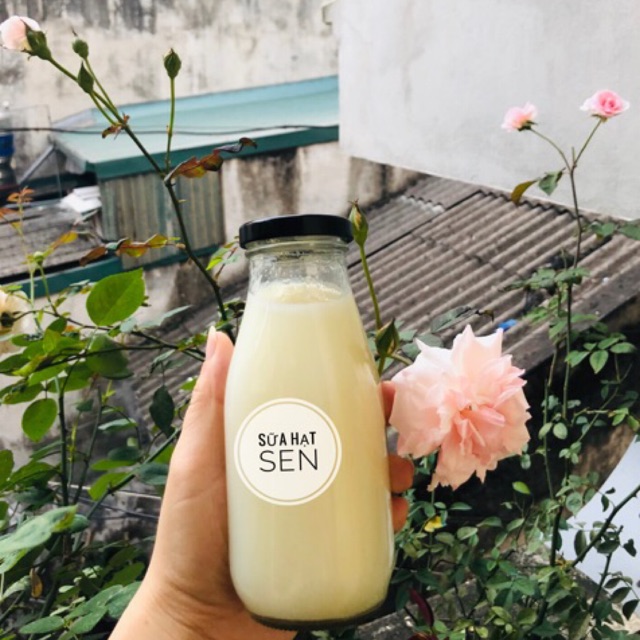 Chai đựng sữa, nước ép nắp thiếc 310ml