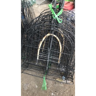 mẹt bẫy chào mào, choè