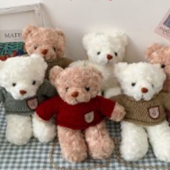 Túi gấu bông Teddy T2