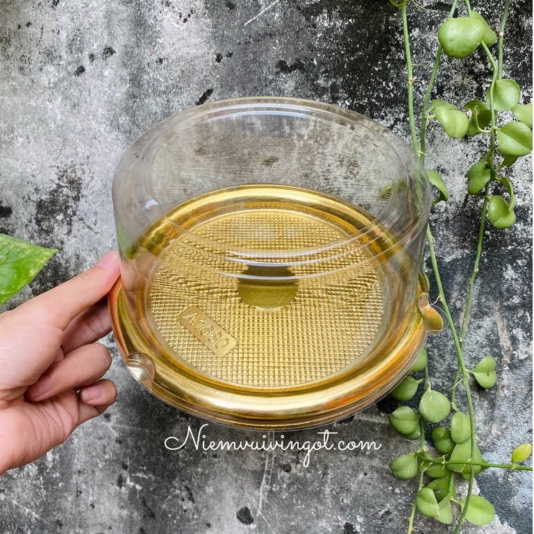 Hộp Nhựa Đế Vàng Đựng Bánh Đào Tiên, Bánh Bông Lan Trứng Muối - A1680