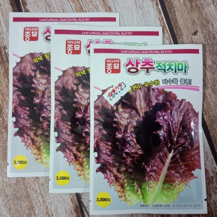 HẠT GIỐNG XÀ LÁCH HÀN QUỐC