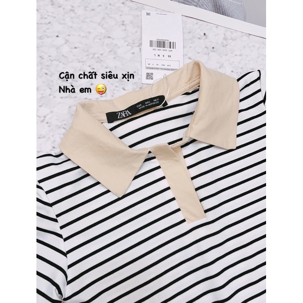 BÁN SỈ VÁY KẺ BODY CỔ BE CHO NỮ | BigBuy360 - bigbuy360.vn