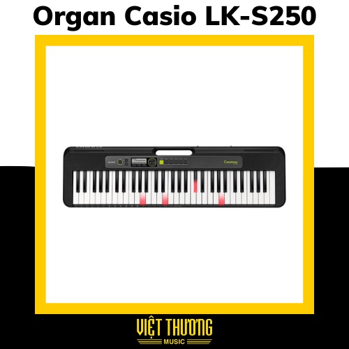 Đàn Organ Casio LK-S250 - Việt Thương Music