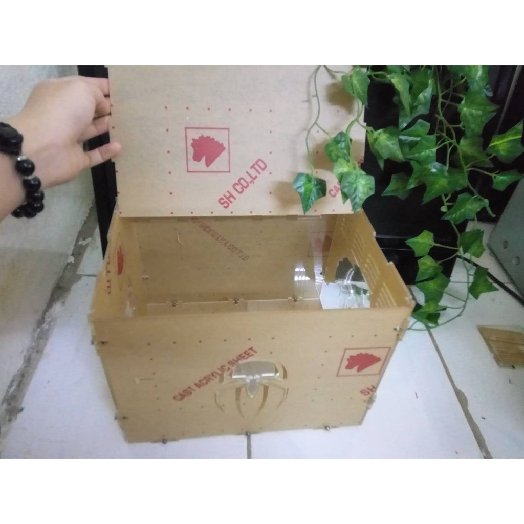 Hộp Nuôi Nhện Cao Cấp 25-20-20