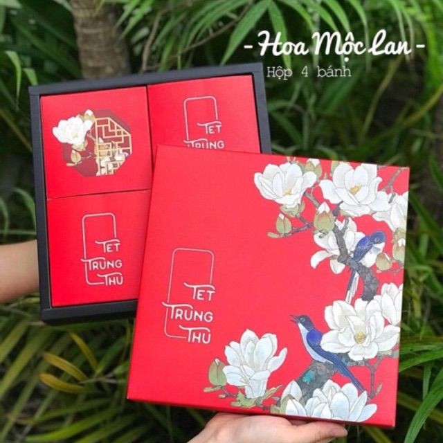 Combo 50 mù tạt xanh