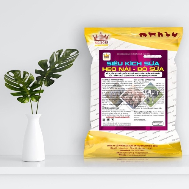 Siêu Kích Thích Sữa Heo Nái, Bò Sữa, Ngăn Ngừa Mất Sữa, Tăng Chất Lượng Sữa, Chống Bại Liệt Sau Khi Sinh