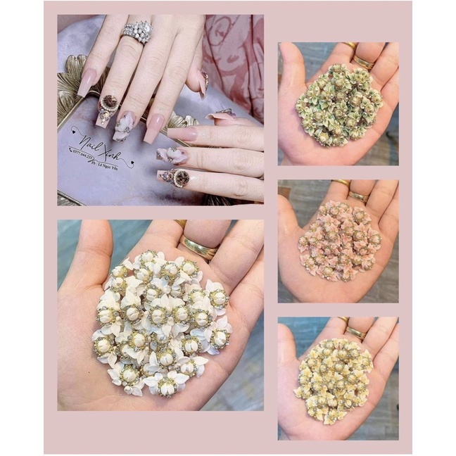 Hoa ôm cham mới (giá 1 bông)