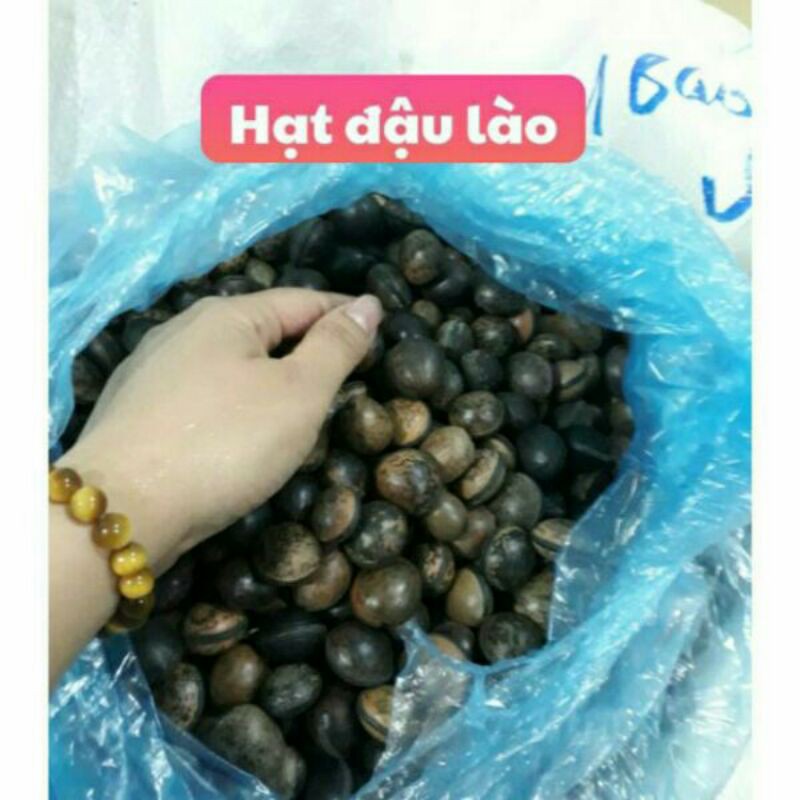 hạt đậu lào