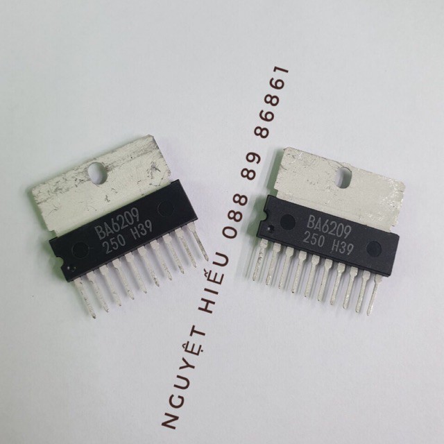 2 con IC điều khiển động cơ motor BA6209