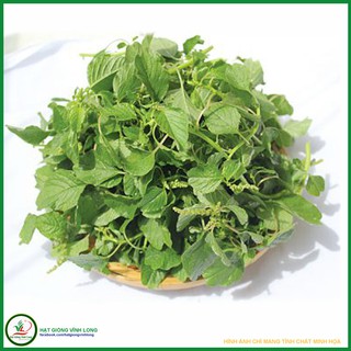 Hạt giống rau Dền cơm RD 86 - 10g