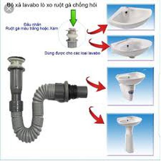 Bộ xả lò xo Lavabo nút nhấn