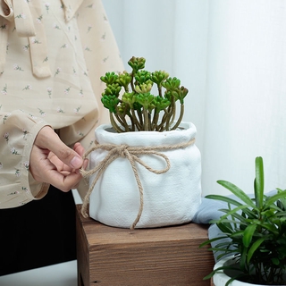 Chậu hoa sứ hình tròn phong cách bắc âu đơn giản hiện đại sáng tạo