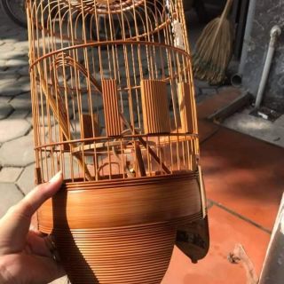 Lồng khuyên dừa cao