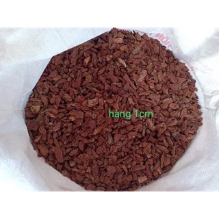 Vỏ thông kt 1cm ( đóng gói 1kg)