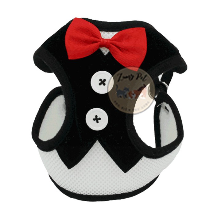 [Mã PET50K giảm Giảm 10% - Tối đa 50K đơn từ 250K] Đai/dây dắt chó mèo đi dạo kèm áo yếm có nơ dễ thương, tiện dụng