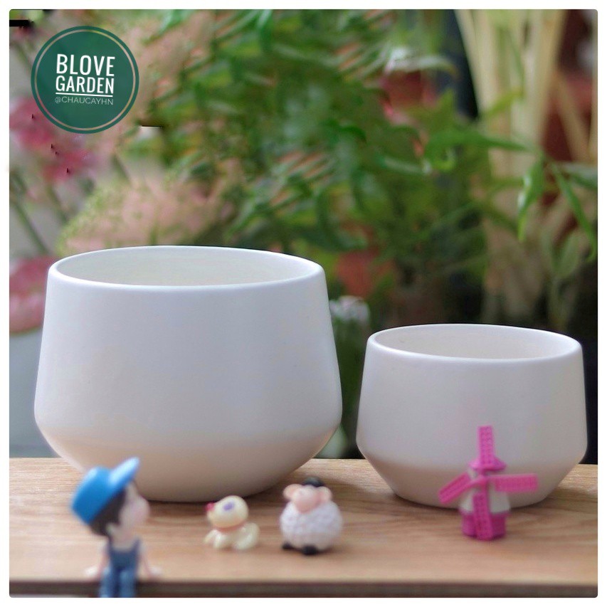 (6x8cm) Chậu kim cương thấp cao 6 cm trồng cây Để Bàn, Cây Nội Thất, Sen Đá, Xương rồng, Cây Bonsai