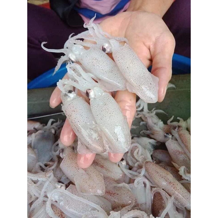 RẺ NHẤT HÀ NỘI MỰC FULL TRỨNG KHAY 1KG NET 800