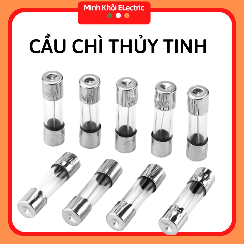 Bộ 10 Cầu Chì Ống Thủy tinh 250v 5x20mm và 6x30mm các loại