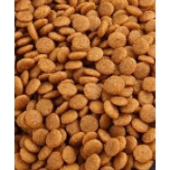 [ Hàng Chính Hãng]  Snack đạm dành cho hamster (50g)