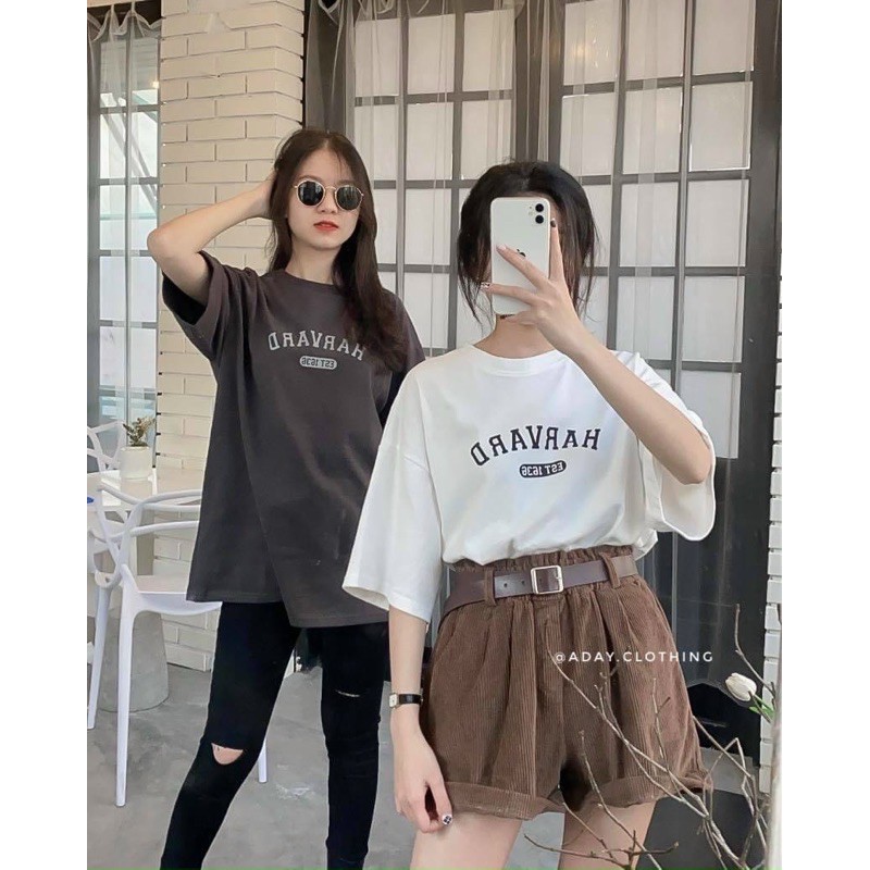 Áo thun chữ HARVARD - phông 3158 chất dày | BigBuy360 - bigbuy360.vn