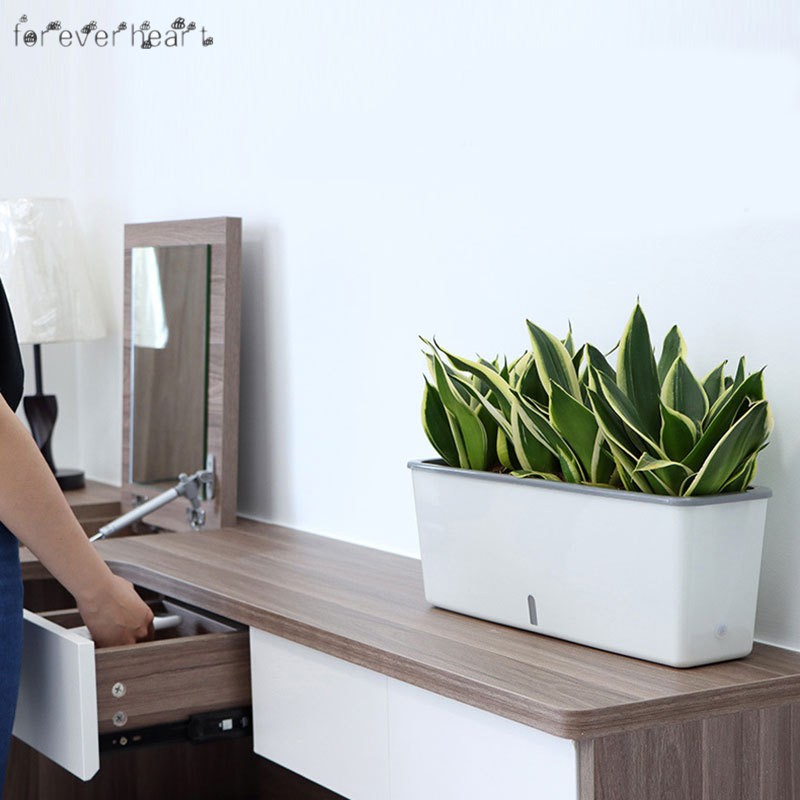 Chậu Hoa Tự Động Tưới Nước Tiện Lợi