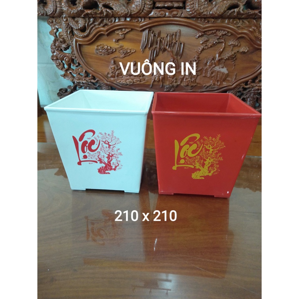 chậu vuông 20x20cm  Chậu nhựa trồng cây chuyên dùng trồng Hoa Hồng và các loại hoa kiểng