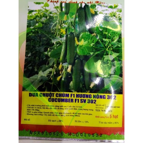 Hạt giống dưa chuột chùm F1 - gói 5 hạt