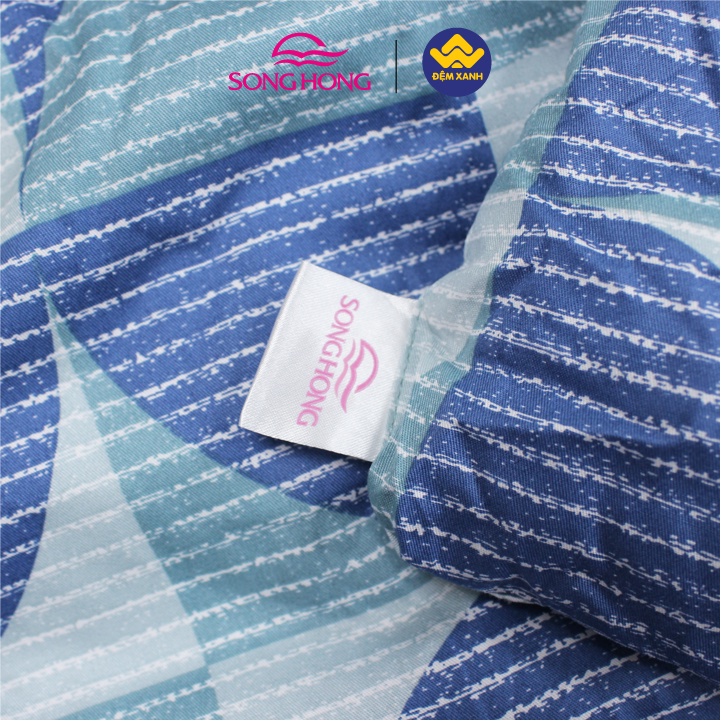 Chăn đông Sông Hồng Basic cotton BC22058