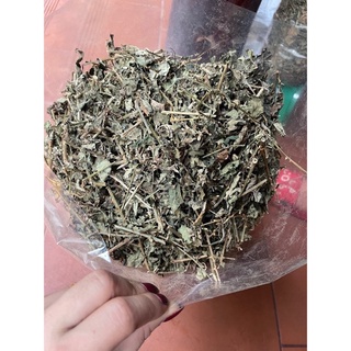 Cà gai leo 1kg