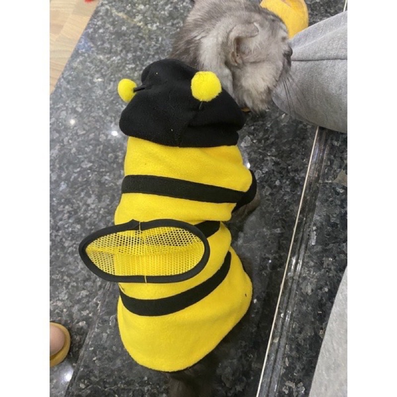 Áo ong vàng siêu cute cho chó mèo
