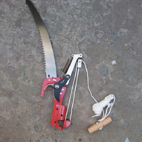Kéo cắt cành trên cao - Lưỡi kéo và lưỡi cưa được làm từ thép Nhật SK5 như các loại dao kéo ghép cây nên rất sắc và khôn