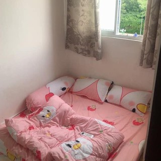 Bộ ga gối poly 1m2 x 2m - 1 Drap 2 áo gối nằm mẫu vịt hồng