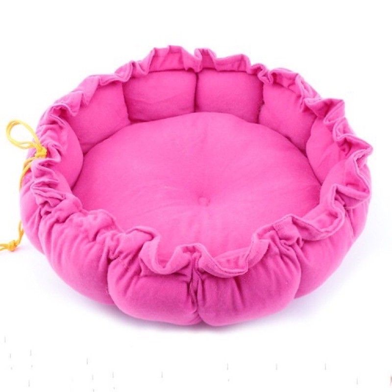 NỆM TRÒN DÂY RÚT SIÊU ÊM CHO CHÓ MÈO