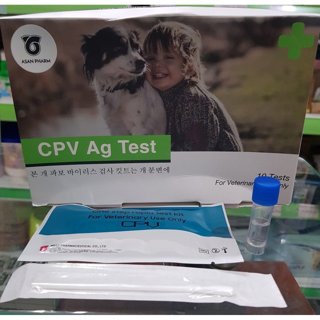 Que test bệnh Parvo (CPV) cho chó