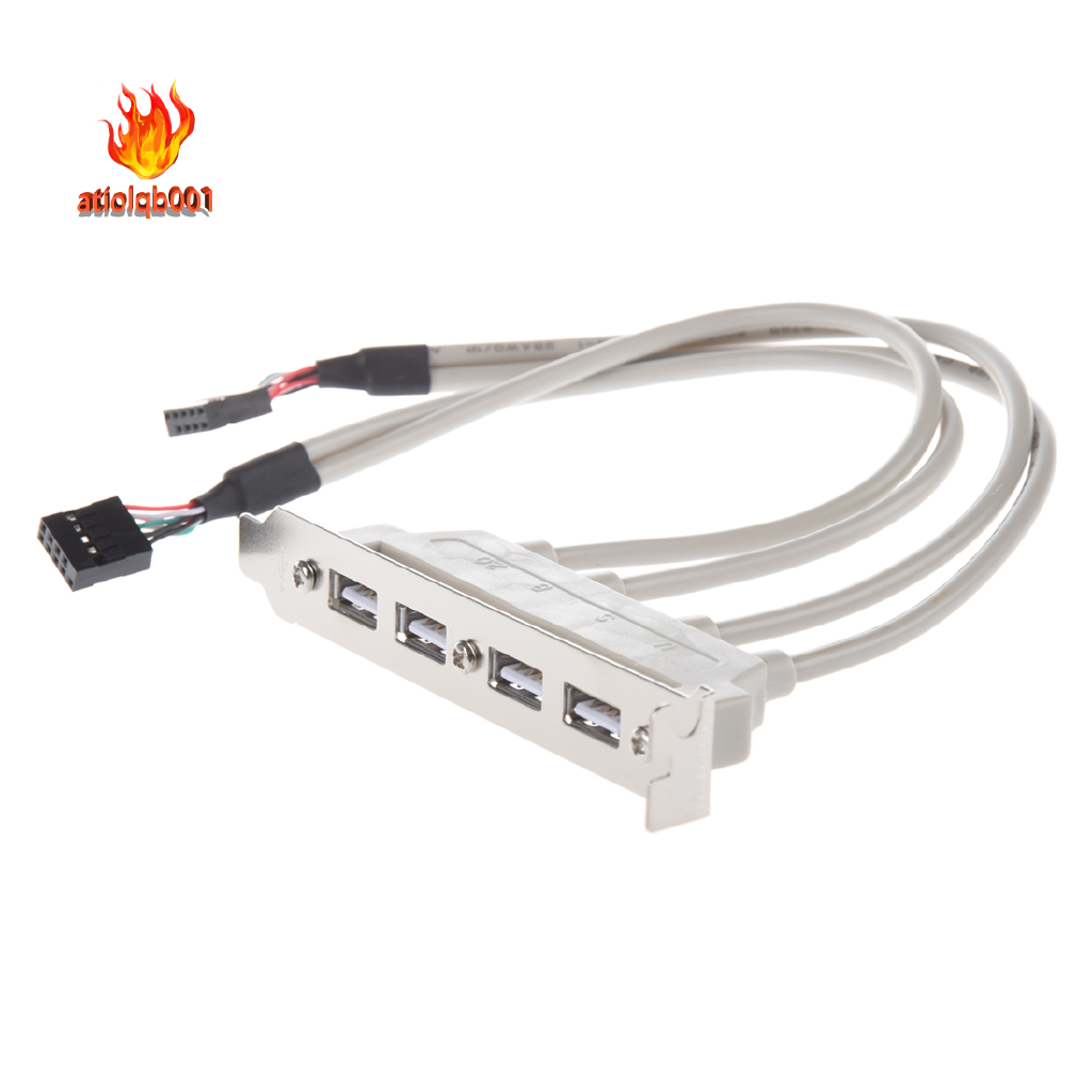 Cáp Mở Rộng Bo Mạch Chủ 4 Cổng Usb 2.0 Sang 9 Pin