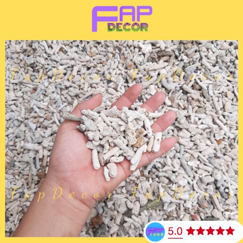 San Hô Sạn Vụn Lọc Nước Tăng Độ PH Cho Bể Cá, Lót Nền Thủy Sinh, Làm Vườn Chậu Cây - FapFood