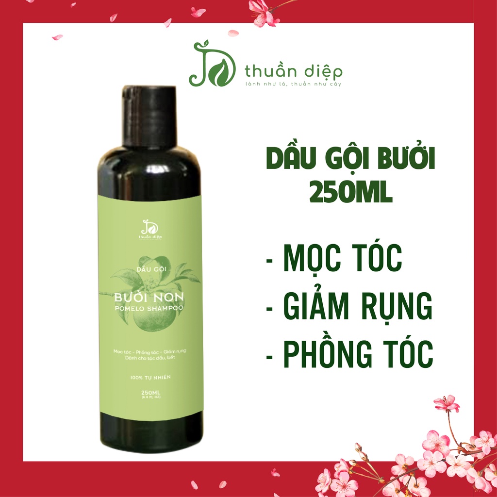 Dầu gội bưởi non mọc tóc nhanh, giảm rụng tóc, tóc chắc khỏe suôn mượt handmade Thuần Diệp