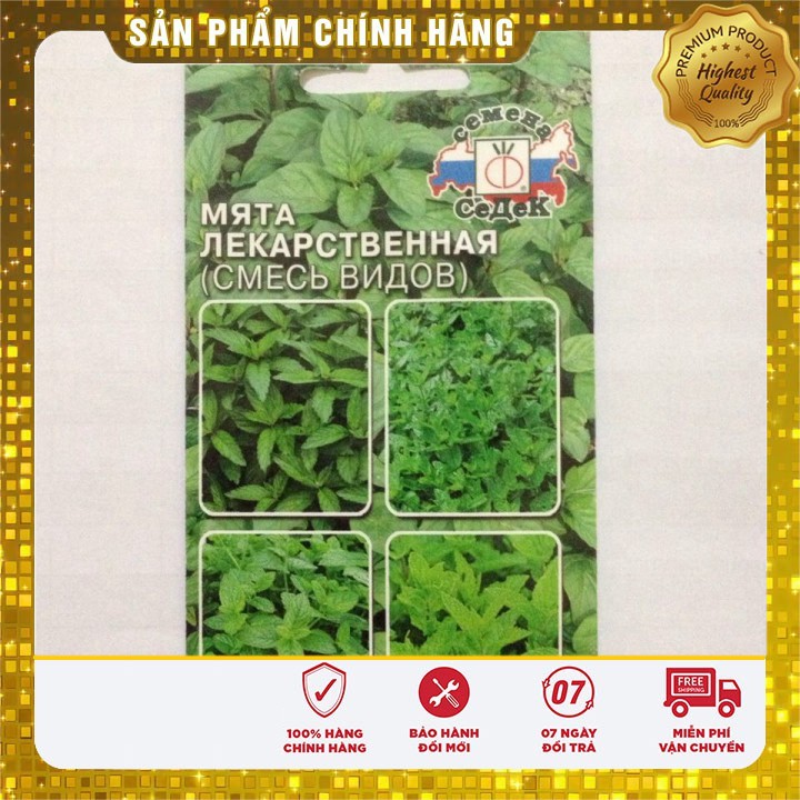 HẠT GIỐNG BẠC HÀ MINT (LUCKY SEED)