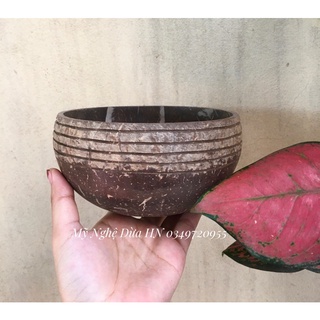 [Hàng Đẹp] Bát Gáo Dừa Viền Miệng