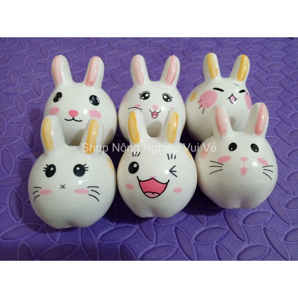 Chậu sứ mini trồng cây để bàn hình thỏ - Chậu trồng cây xương rồng, sen đá nhỏ