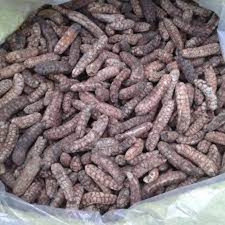 Sỉ giá gốc chuối hột rừng 1kg - 2kg - 3kg