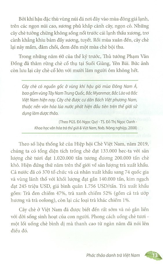 Sách Phác Thảo Danh Trà Việt Nam