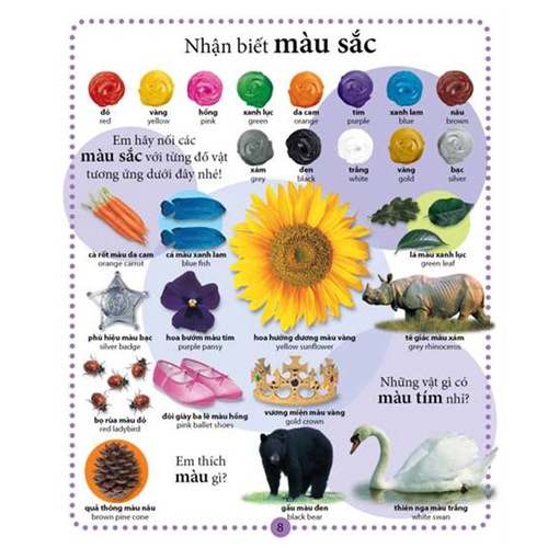 Sách Combo 3 Cuốn - Cuốn Sách Cầu Vồng - Tiếng Anh Cho bé