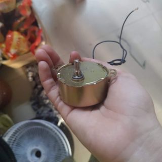 Motor hào quang gai ngoài