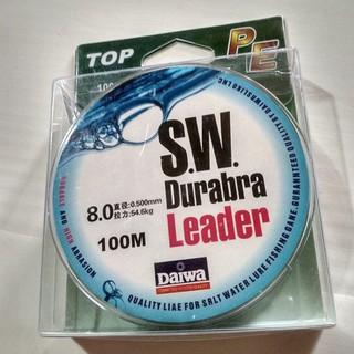 Dù câu cá daiwa sw 100m